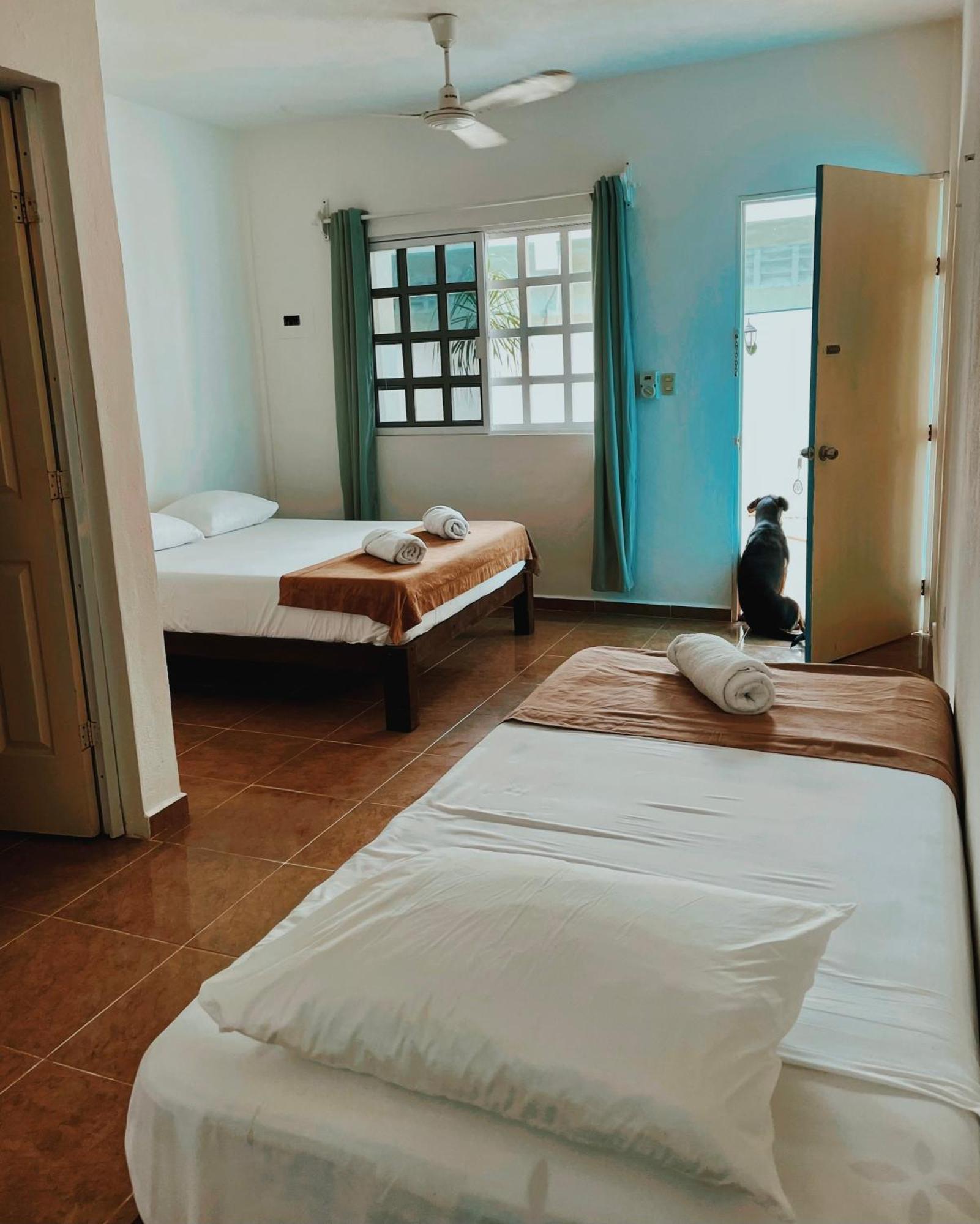 Pachamama Holbox - Hostel & Private Apartments Bagian luar foto